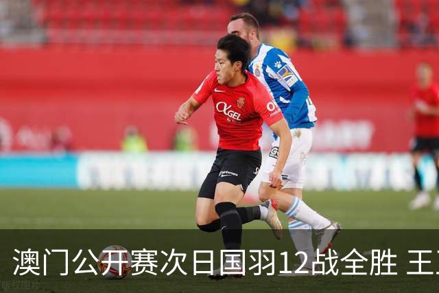 澳门公开赛次日国羽12战全胜 王正行刘亮晋级次轮